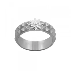 Anillo Aiora Rutenio Eguzkilore Plata