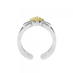 Anillo Bayona Plata y Eguzkilore Dorado