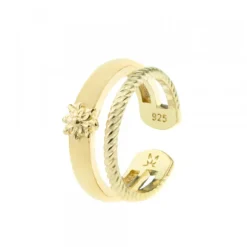 Anillo Biarritz de Plata Dorada