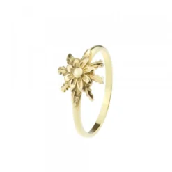 Anillo Eguzkilore Clásico Oro Talla 12