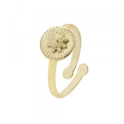 Anillo Radial Plata Dorada