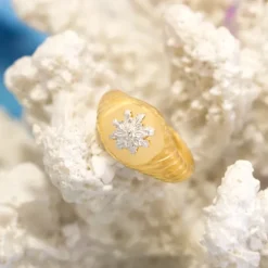 Anillo Sello Grecia Plata Dorada