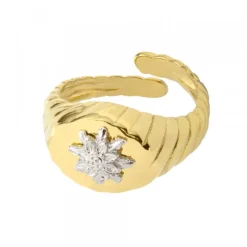 Anillo Sello Grecia Plata Dorada