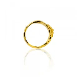 Anillo Ur de Plata Dorada