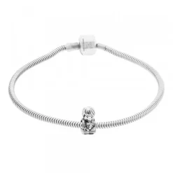 Charm Niño de Plata