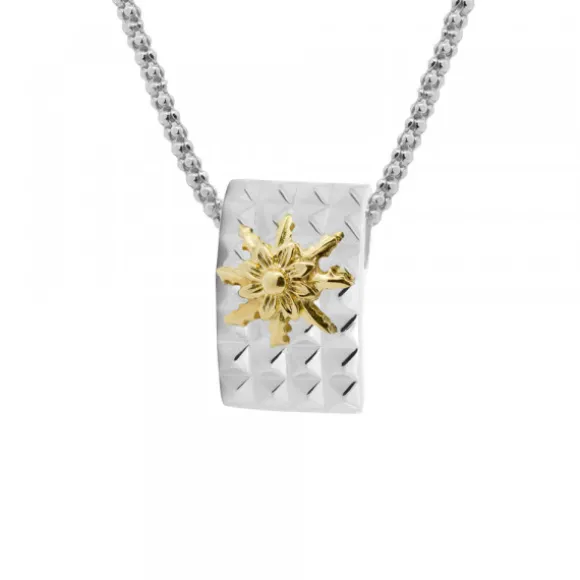 Colgante Aiora de Plata