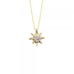 Colgante Eguzkilore Oro Bicolor y Brillante 9,5mm