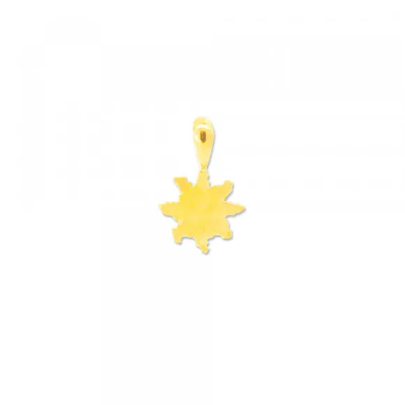 Colgante Eguzkilore Plata Dorada 9mm