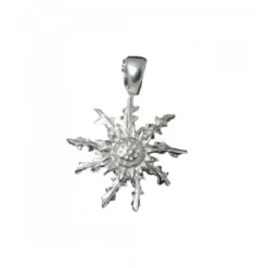 Colgante Eguzkilore Plata 29mm