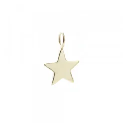 Colgante Estrella de Plata Dorada