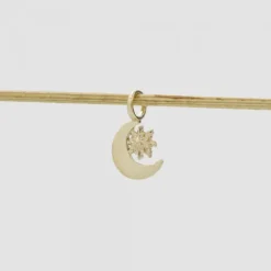 Colgante Luna y Eguzkilore Plata Dorada