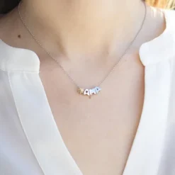 Gargantilla Ama Iniciales Plata con Motivo a Elegir