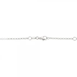 Gargantilla Amatxi Plata Bicolor