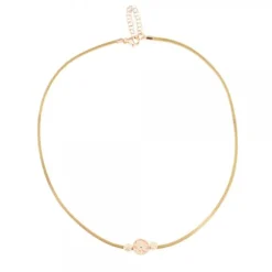 Gargantilla Anuk Cuero Beige con Plata Rosa