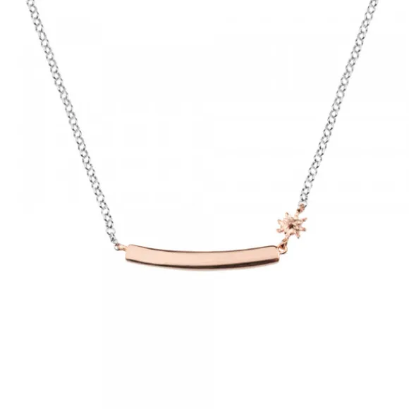 Gargantilla Identidad Plata Rosa Personalizable