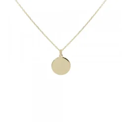 Gargantilla Mountain Mini de Plata Dorada