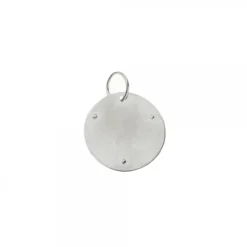 Medalla Eguzkilore Oro Blanco 15mm