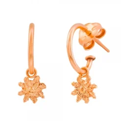 Pendientes Aro Eguzkilore Plata Rosa 20mm