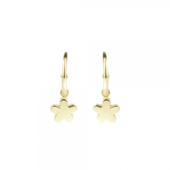Pendientes Aro Flor de Plata Dorada