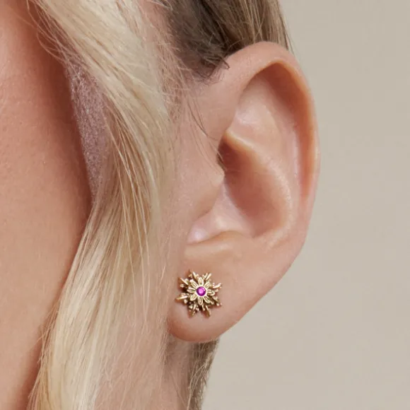 Pendientes Basic Colors Plata Dorada y Amatista