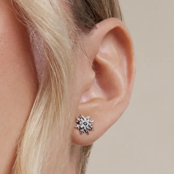 Pendientes Basic Colors Plata y Circonita Negra