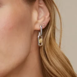 Pendientes Bayona Largos Plata