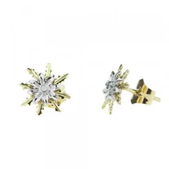 Pendientes Eguzkilore Oro Bicolor y Brillante 12mm