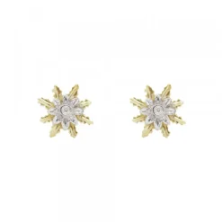 Pendientes Eguzkilore Oro Bicolor y Brillante 9mm