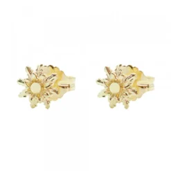 Pendientes Eguzkilore Plata Dorada 8mm