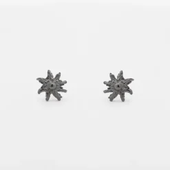 Pendientes Eguzkilore Plata Dorada y Rutenio