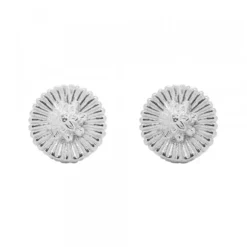 Pendientes Radial Plata