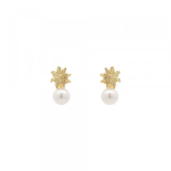 Pendientes Tú y Yo Plata Dorada y Perla 5mm