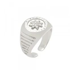 Sello Eguzkilore Plata